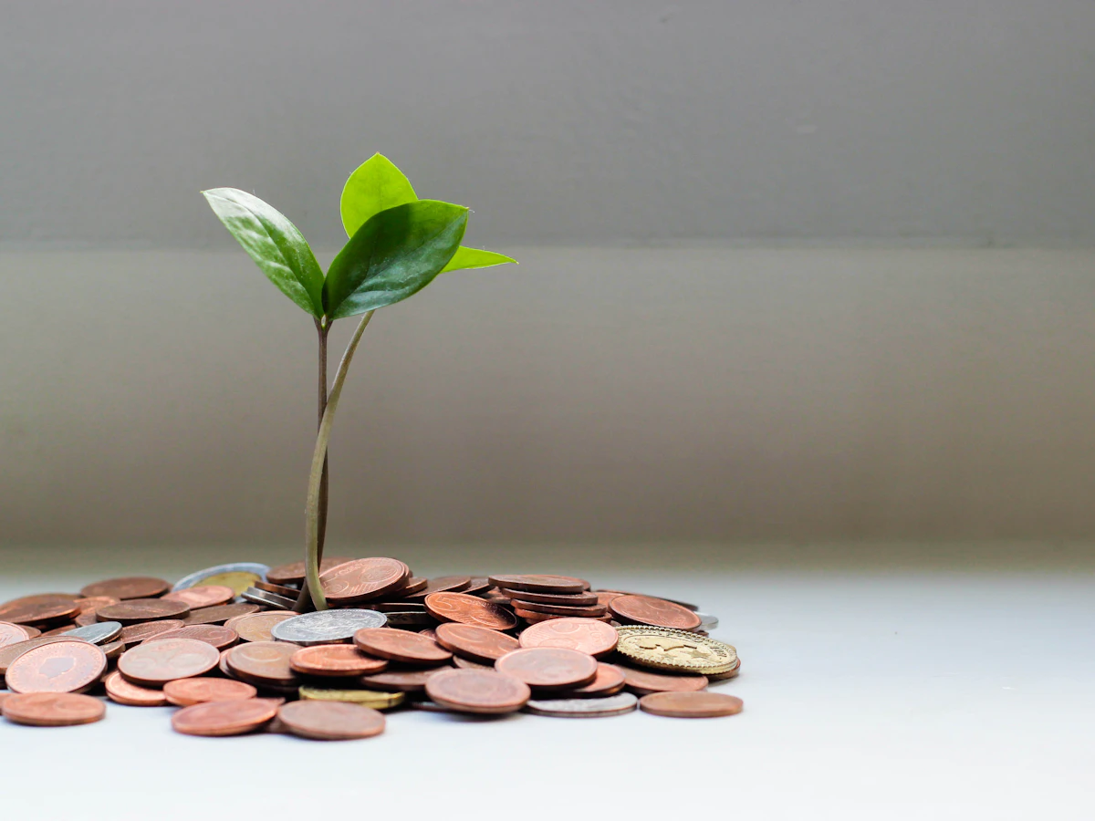 Family savings and financial freedom